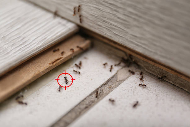 Best Wildlife Control Services  in Wayne, MI