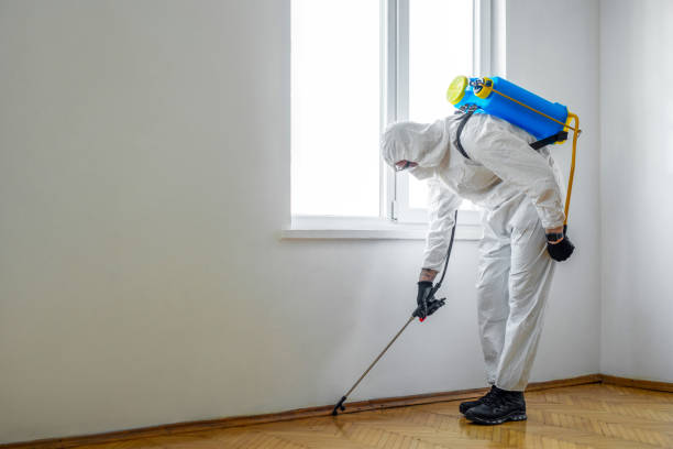 Best Residential Pest Control  in Wayne, MI