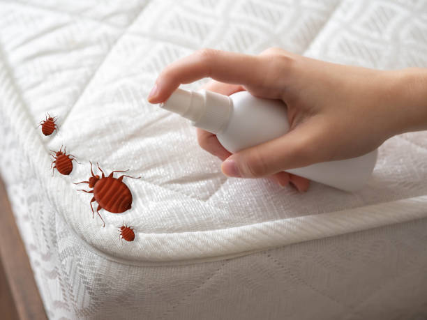 Best Affordable Pest Control Services  in Wayne, MI