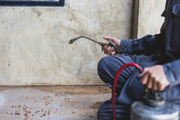 Best Local Pest Control Services  in Wayne, MI